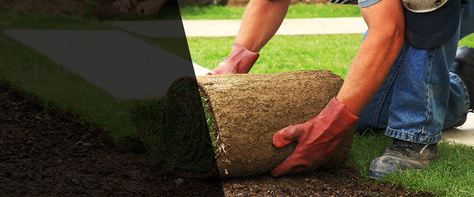 Covington Landscapers